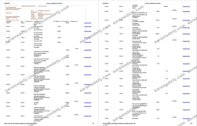 Pakistan Meezan Bank Limited account statement Word and PDF template, 2 pages